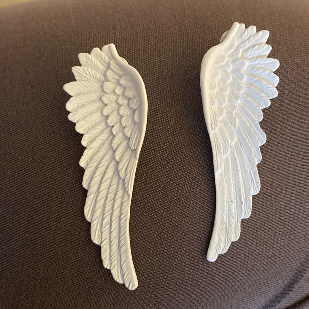 Wildfox Couture White Wings Earrings